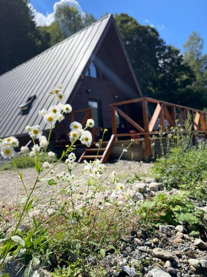 Wild Holiday home