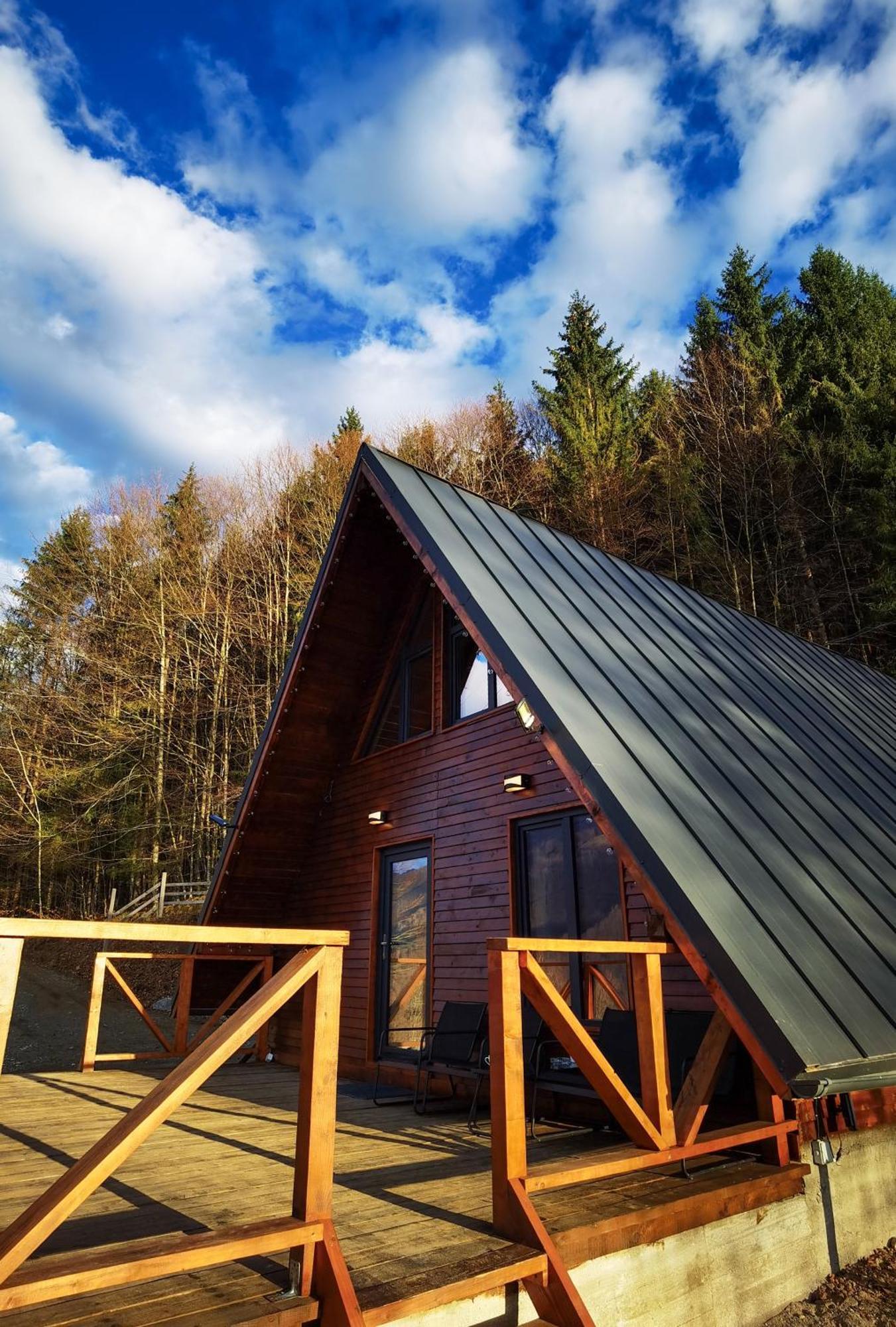 Wild Holiday home